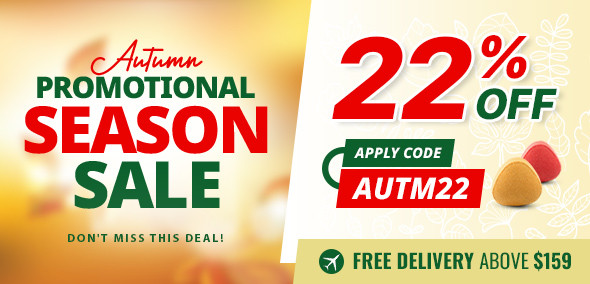 Autumn Season Sale